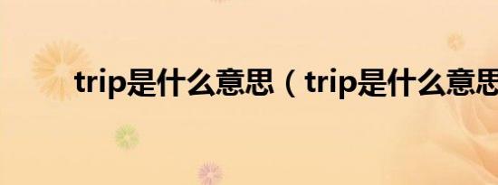 trip是什么意思（trip是什么意思）