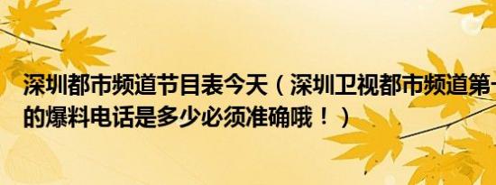 深圳都市频道节目表今天（深圳卫视都市频道第一现场栏目的爆料电话是多少必须准确哦！）