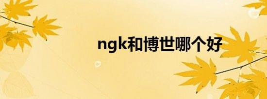 ngk和博世哪个好