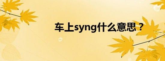 车上syng什么意思？