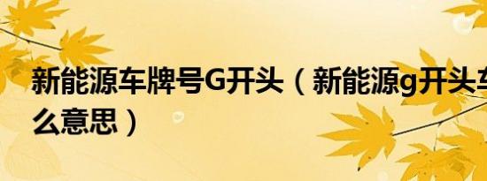 新能源车牌号G开头（新能源g开头车牌是什么意思）