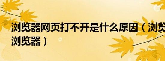 浏览器网页打不开是什么原因（浏览器 网页浏览器）