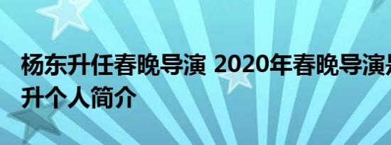 杨东升任春晚导演 2020年春晚导演是谁杨东升个人简介