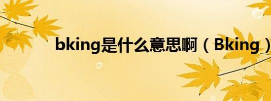 bking是什么意思啊（Bking）