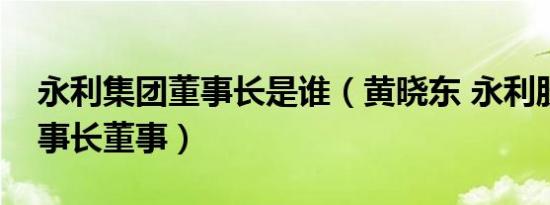 永利集团董事长是谁（黄晓东 永利股份副董事长董事）