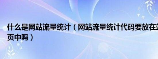 什么是网站流量统计（网站流量统计代码要放在站内每一个页中吗）