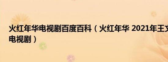 火红年华电视剧百度百科（火红年华 2021年王文杰执导的电视剧）