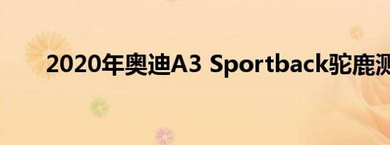 2020年奥迪A3 Sportback驼鹿测试