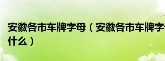 安徽各市车牌字母（安徽各市车牌字母代码是什么）