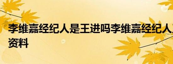 李维嘉经纪人是王进吗李维嘉经纪人王进个人资料