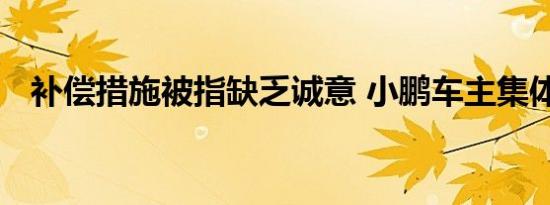 补偿措施被指缺乏诚意 小鹏车主集体维权