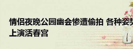 情侣夜晚公园幽会惨遭偷拍 各种姿势啪啪啪上演活春宫