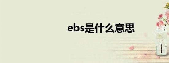 ebs是什么意思