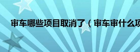 审车哪些项目取消了（审车审什么项目）