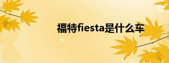 福特fiesta是什么车