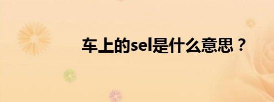 车上的sel是什么意思？