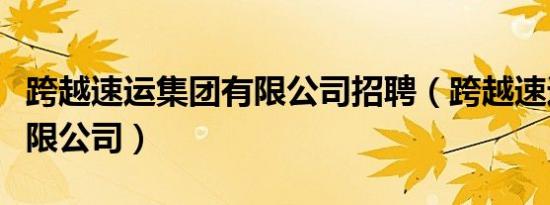 跨越速运集团有限公司招聘（跨越速运集团有限公司）