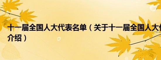 十一届全国人大代表名单（关于十一届全国人大代表名单的介绍）