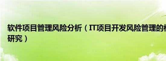 软件项目管理风险分析（IT项目开发风险管理的模型与体系研究）