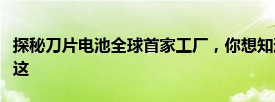 探秘刀片电池全球首家工厂，你想知道的都在这