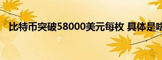 比特币突破58000美元每枚 具体是啥情况