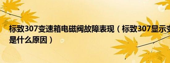 标致307变速箱电磁阀故障表现（标致307显示变速箱故障是什么原因）