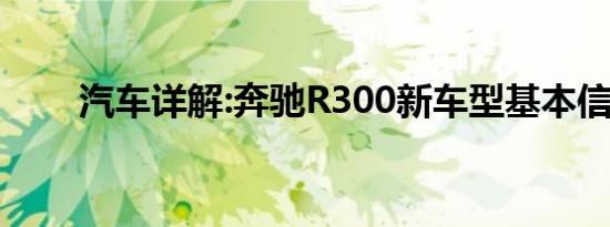 汽车详解:奔驰R300新车型基本信息