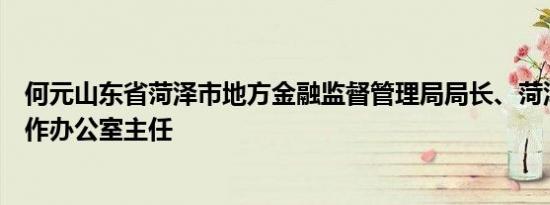 何元山东省菏泽市地方金融监督管理局局长、菏泽市金融工作办公室主任