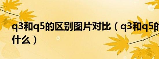 q3和q5的区别图片对比（q3和q5的区别是什么）