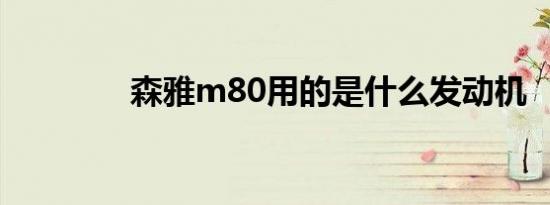 森雅m80用的是什么发动机