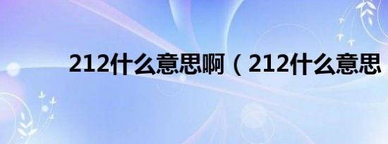 212什么意思啊（212什么意思）