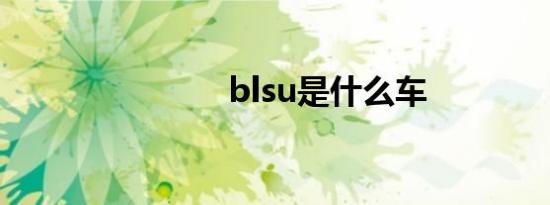 blsu是什么车