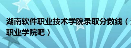 湖南软件职业技术学院录取分数线（湖南软件职业学院吧）