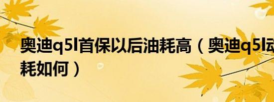 奥迪q5l首保以后油耗高（奥迪q5l动力和油耗如何）