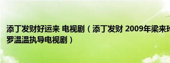 添丁发财好运来 电视剧（添丁发财 2009年梁来玲、林美娜、罗温温执导电视剧）