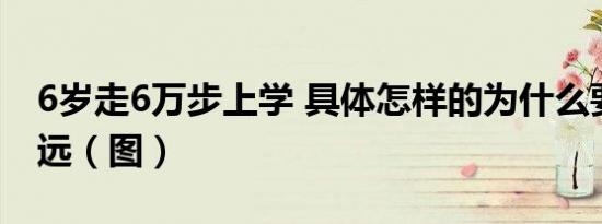 6岁走6万步上学 具体怎样的为什么要走这么远（图）