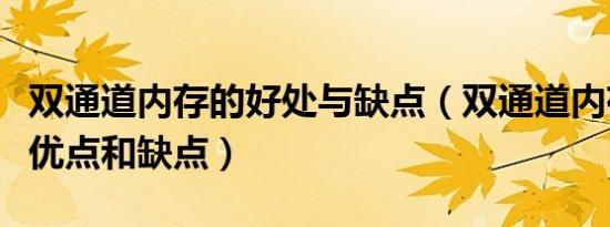 双通道内存的好处与缺点（双通道内存有什么优点和缺点）