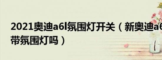 2021奥迪a6l氛围灯开关（新奥迪a6l全系都带氛围灯吗）