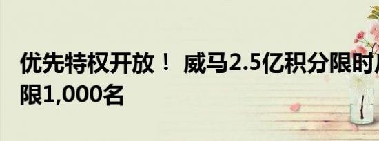 优先特权开放！ 威马2.5亿积分限时瓜分，仅限1,000名