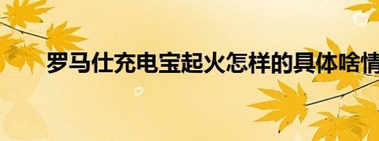 罗马仕充电宝起火怎样的具体啥情况