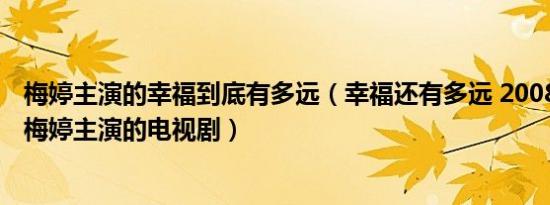 梅婷主演的幸福到底有多远（幸福还有多远 2008年王志文、梅婷主演的电视剧）