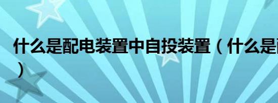 什么是配电装置中自投装置（什么是配电装置）