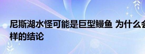 尼斯湖水怪可能是巨型鳗鱼 为什么会得出这样的结论