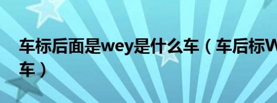 车标后面是wey是什么车（车后标WEY什么车）