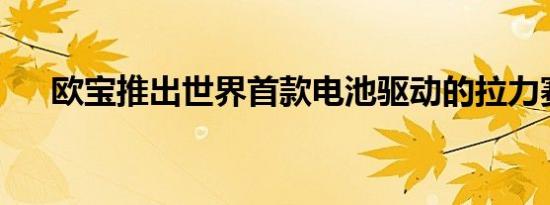 欧宝推出世界首款电池驱动的拉力赛车