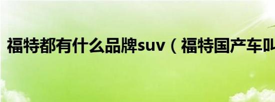 福特都有什么品牌suv（福特国产车叫什么）