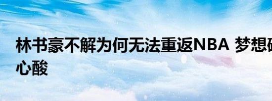 林书豪不解为何无法重返NBA 梦想破灭令人心酸