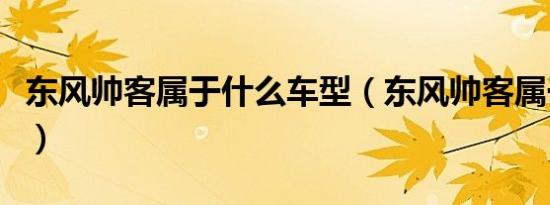 东风帅客属于什么车型（东风帅客属于什么车）