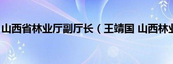 山西省林业厅副厅长（王靖国 山西林业专家）