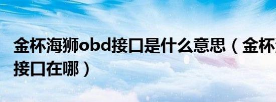 金杯海狮obd接口是什么意思（金杯海狮obd接口在哪）